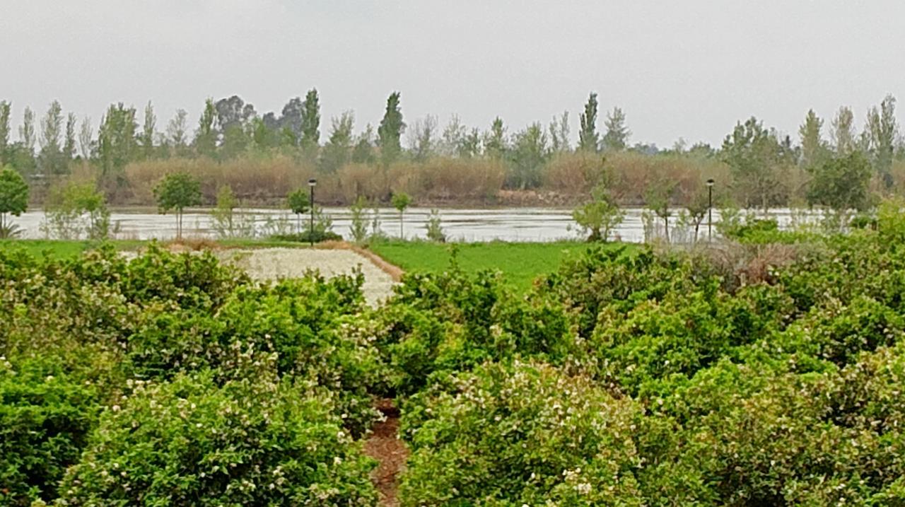La Caseta Del Pitxo Deltebre Ngoại thất bức ảnh